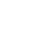 Metro Holding